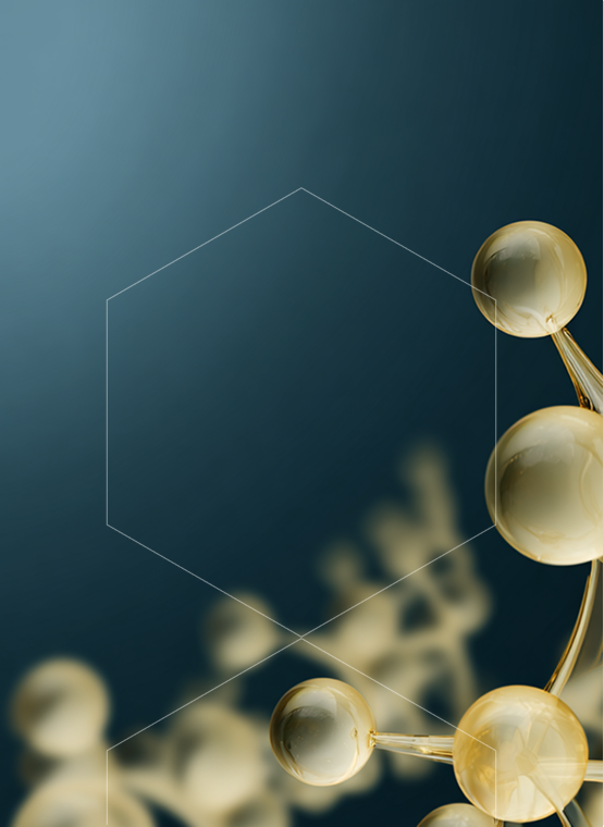 Coenzyme Q10 (Ubiquinone)